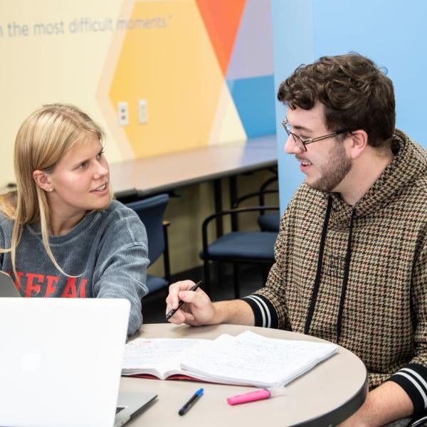 Two students study together