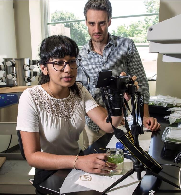 Student photographs a field sample in a lab